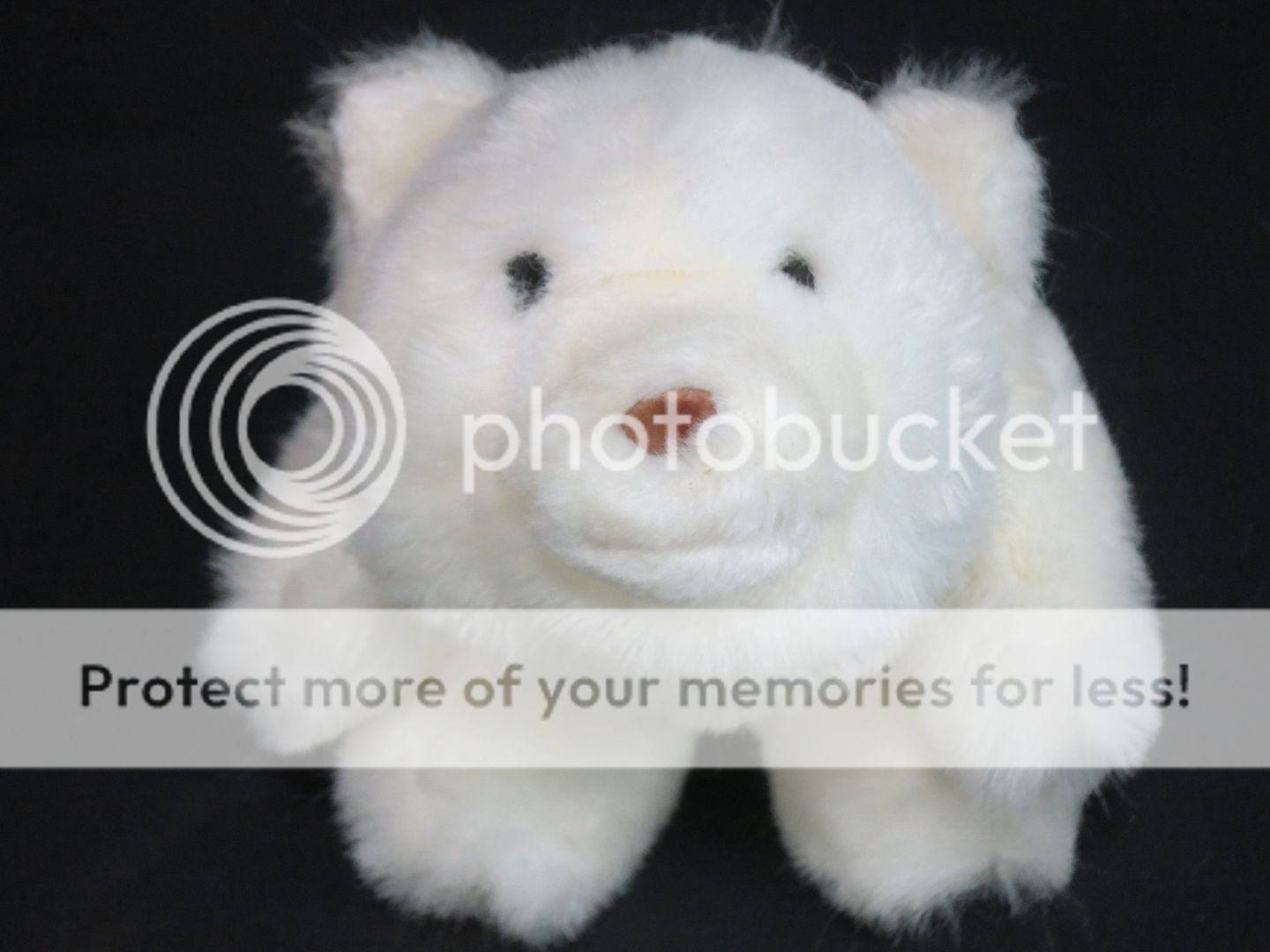 bark the polar bear plush